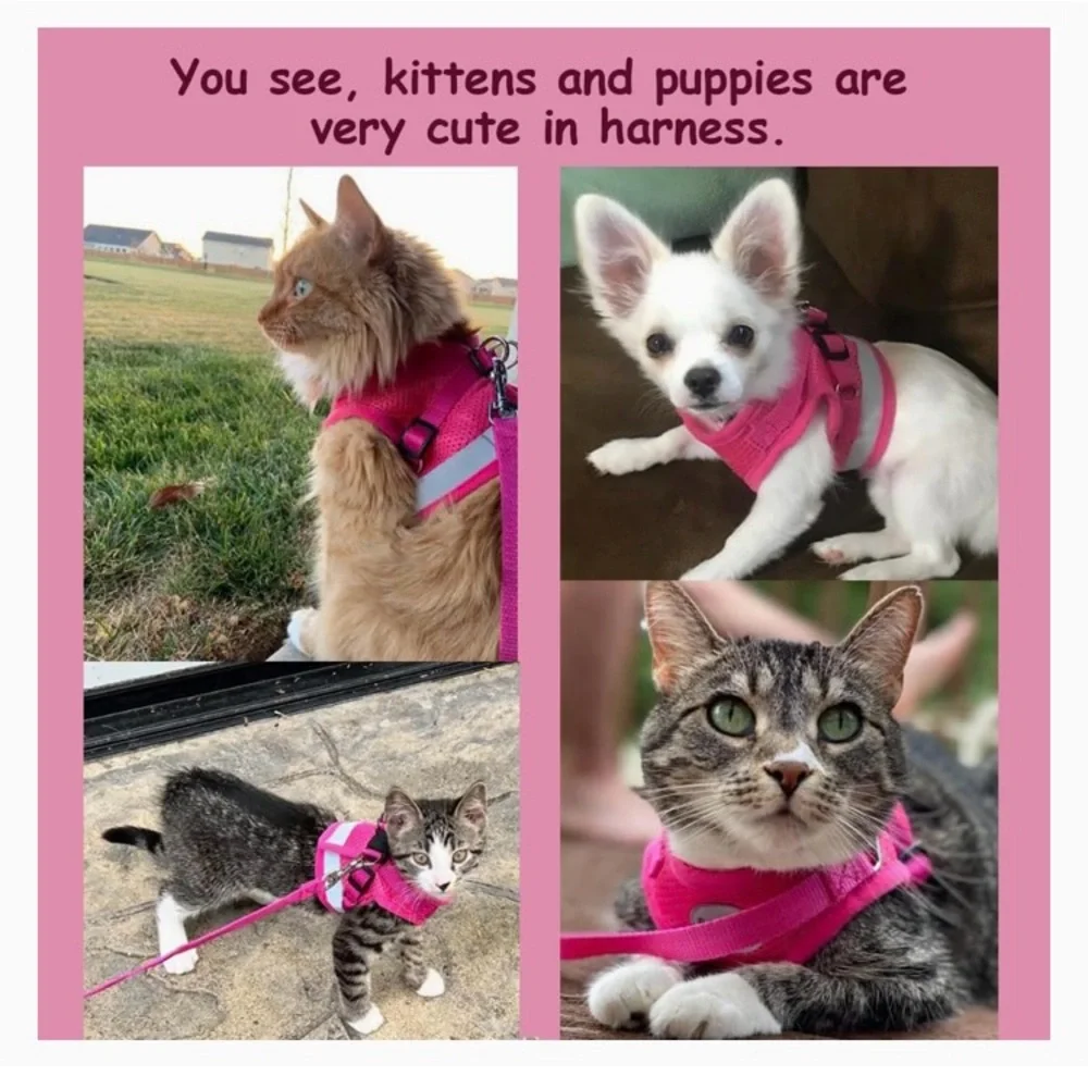 Cat/Puppy Harness w/ Leash Set, Escape Proof, Adjustable Reflective Soft Mesh